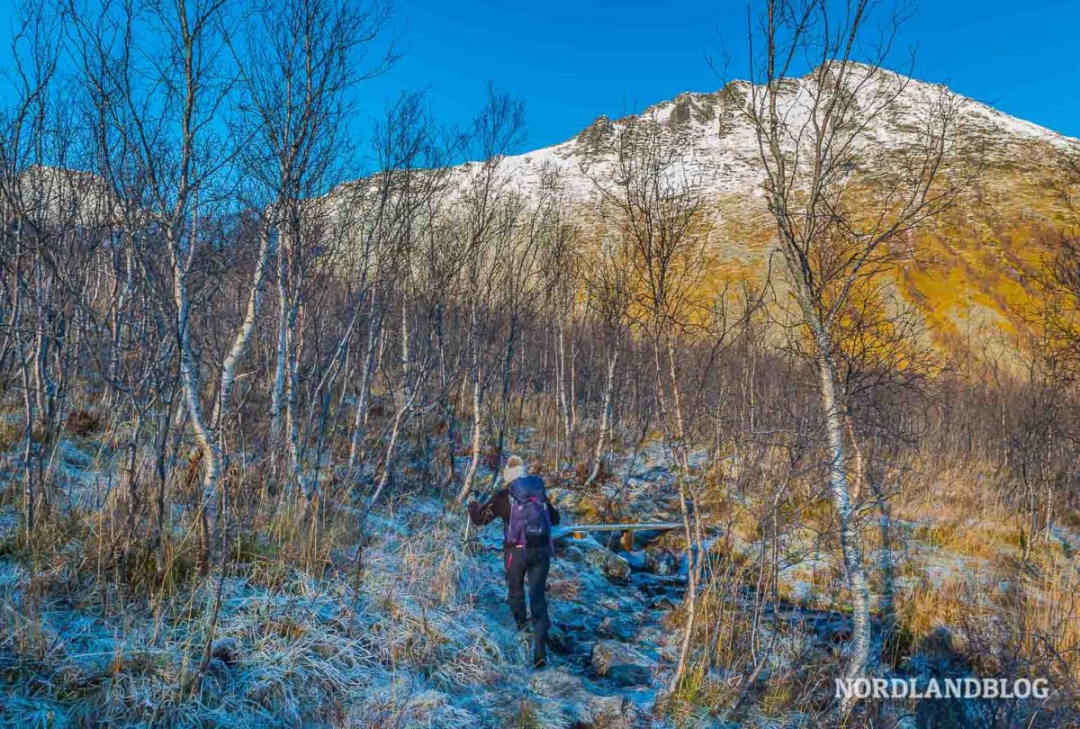Wandern im Norden von Norwegen: Spektakulärer Blick vom Hesten auf den Segla (Insel Senja) Wandern im Norden von Norwegen: Spektakulärer Blick vom Hesten auf den Segla (Insel Senja) - Wandern, Troms, Trekking, Senja, Segla, Hiking, Hesten, Gipfeltour - norwegen-wanderungen - Wanderung in Nordnorwegen mit einer spektakulären Aussicht: 556 Meter erhebt sich der Hesten auf der Insel Senja über dem Fjord und bietet somit einen tollen Blick auf den Gipfel des Segla.