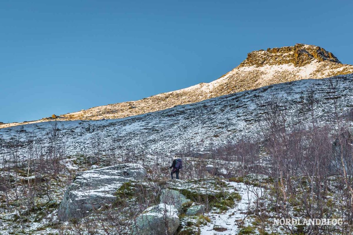 Wandern im Norden von Norwegen: Spektakulärer Blick vom Hesten auf den Segla (Insel Senja) Wandern im Norden von Norwegen: Spektakulärer Blick vom Hesten auf den Segla (Insel Senja) - Wandern, Troms, Trekking, Senja, Segla, Hiking, Hesten, Gipfeltour - norwegen-wanderungen - Wanderung in Nordnorwegen mit einer spektakulären Aussicht: 556 Meter erhebt sich der Hesten auf der Insel Senja über dem Fjord und bietet somit einen tollen Blick auf den Gipfel des Segla.