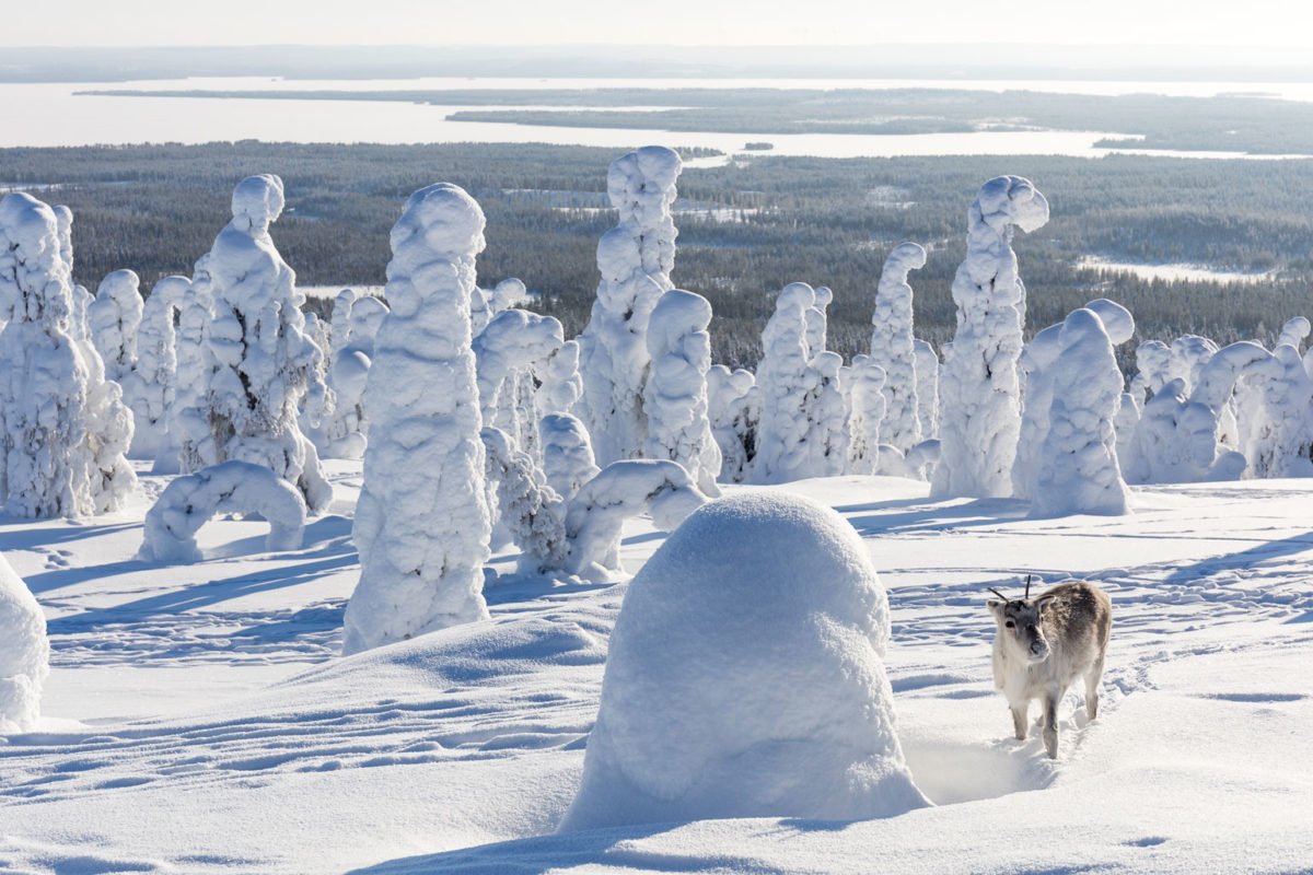 Ailos Reise führt uns durch Schönheit Lappland 