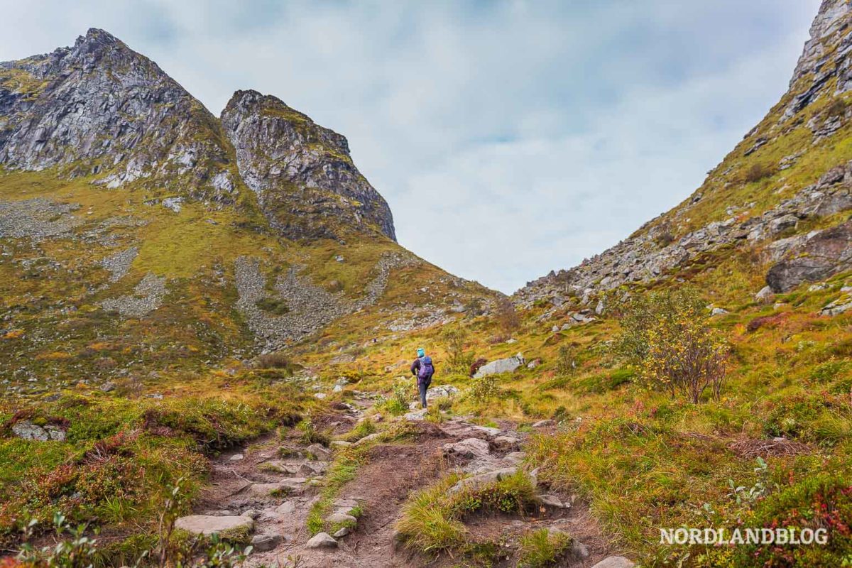 Bergrücken oberhalb der Bucht Kvalvika Bergrücken oberhalb der Bucht Kvalvika