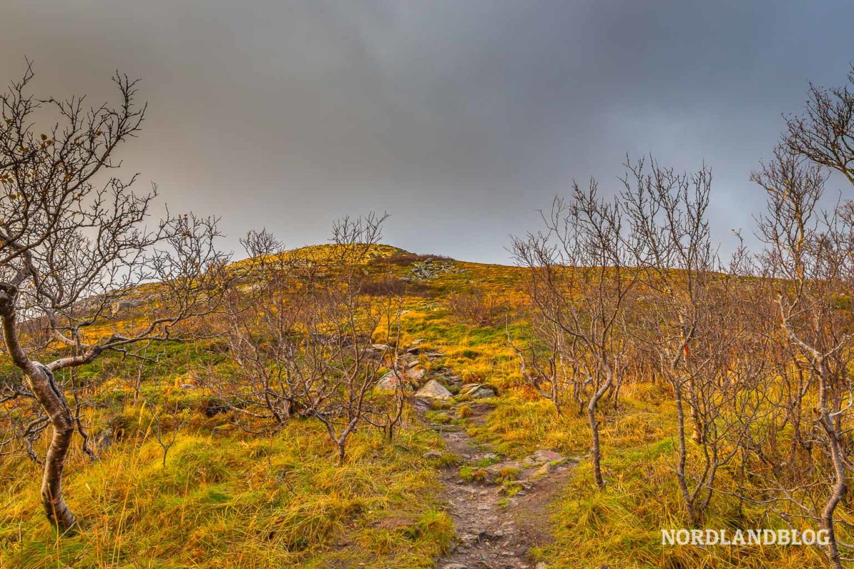 Wanderung auf den Måtind (Vesterålen / Bleik / Norwegen) Wanderung auf den Måtind (Vesterålen / Bleik / Norwegen)