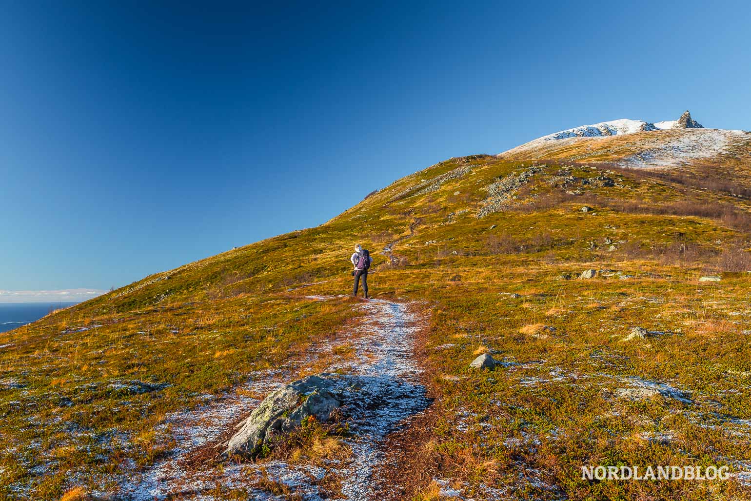 Das Husfjellet ist bereits im Hintergrund auf unserer Wanderung auf Senja zu sehen.