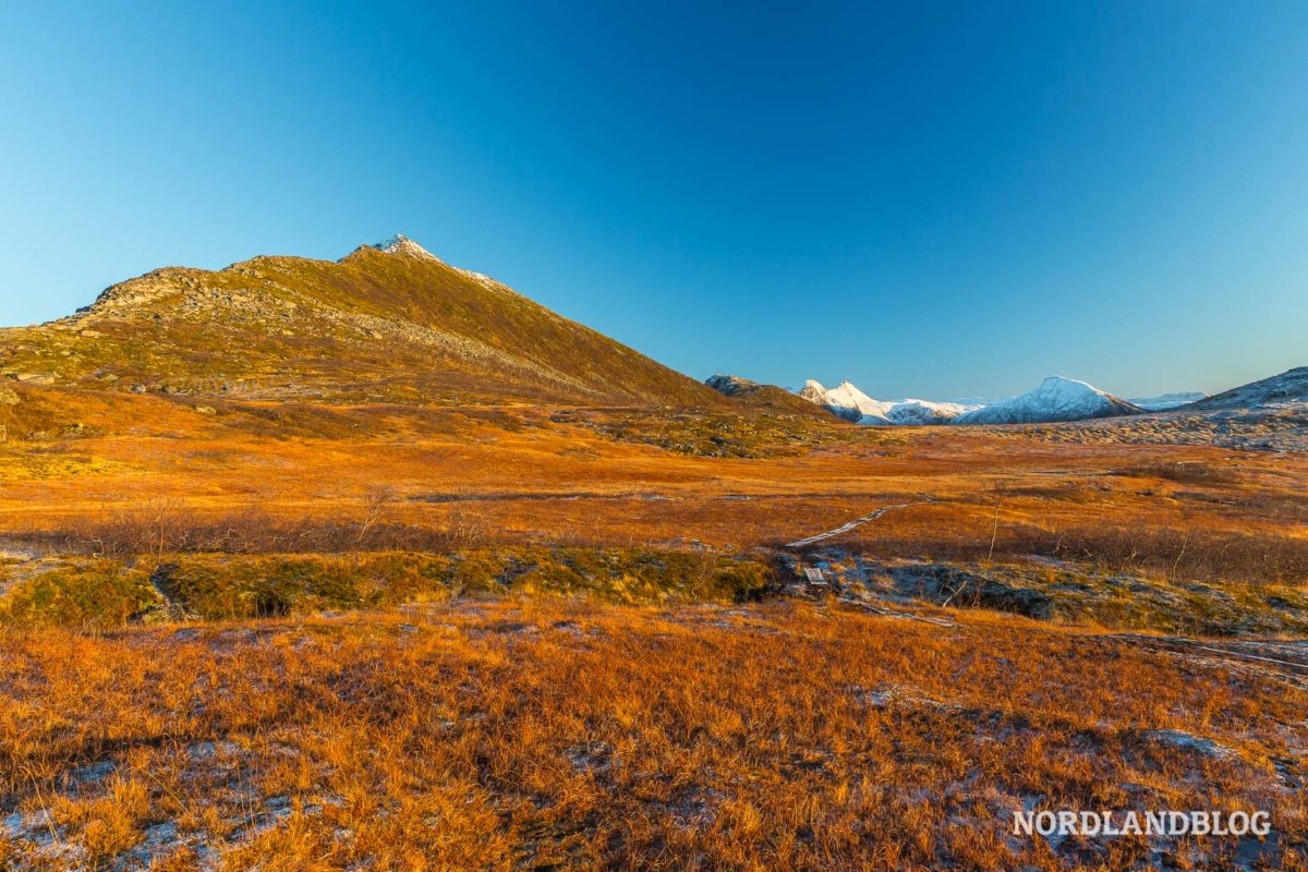 Die morastige Hochebene auf dem Weg zum Gipfel des Husfjellet auf der Insel Senja Die morastige Hochebene auf dem Weg zum Gipfel des Husfjellet auf der Insel Senja