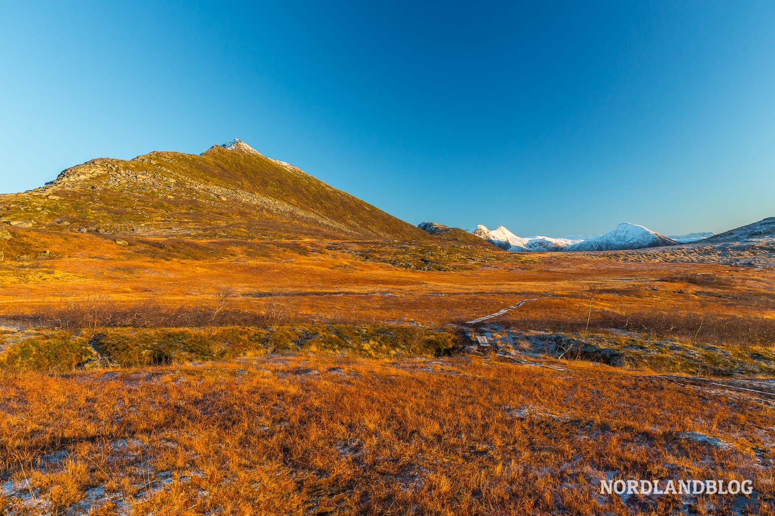 Die morastige Hochebene auf dem Weg zum Gipfel des Husfjellet auf der Insel Senja