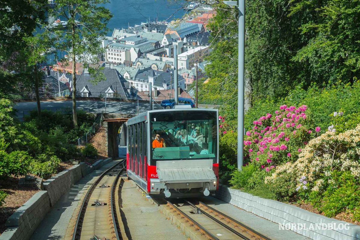 22 Highlights und Insider-Tipps für deinen Trip nach Bergen (Norwegen) 22 Highlights und Insider-Tipps für deinen Trip nach Bergen (Norwegen) - Westküste, Stadt, Sehenswürdigkeiten, Bergen - norwegen-reisetipps - Für deinen erlebnisreichen Trip nach Bergen (Norwegen) haben wir dir einige bekannte Highlights aber auch echte Insidertipps zusammengestellt.