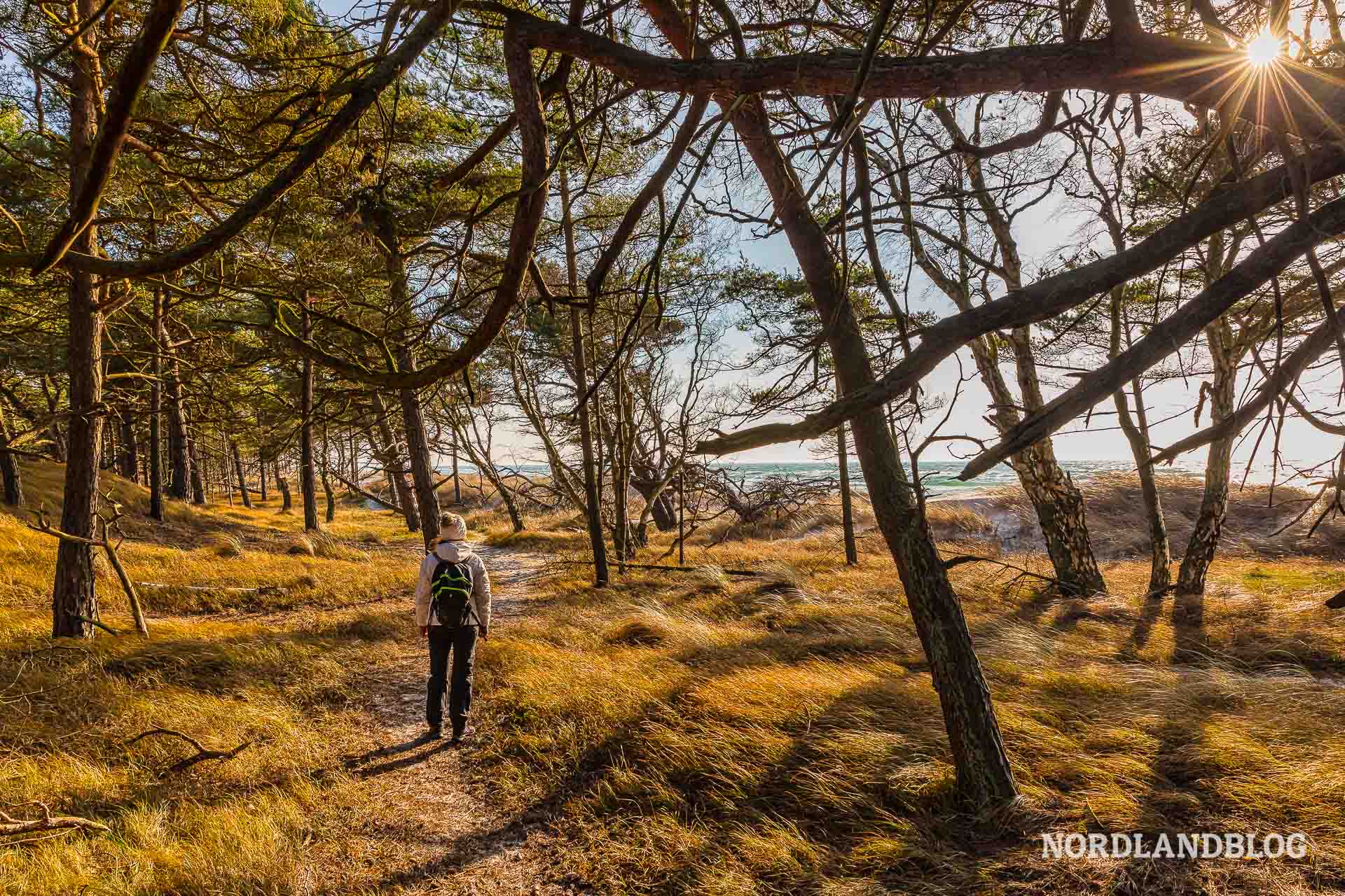 Wanderung in den Dünen von unserem Ferienhaus auf Bornholm aus 