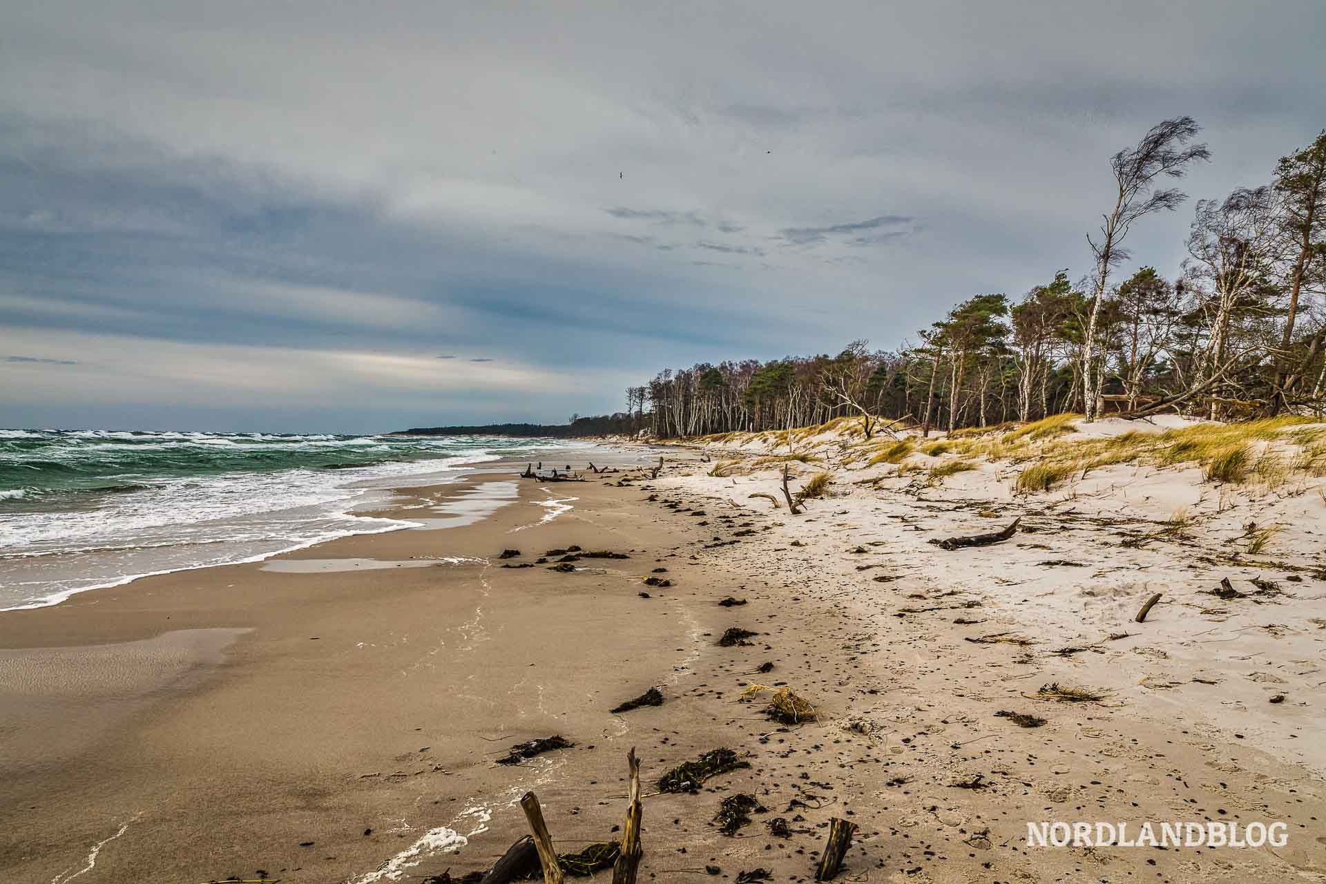 Der Strand an der Ostsee bei Dueodde im Wintersturm