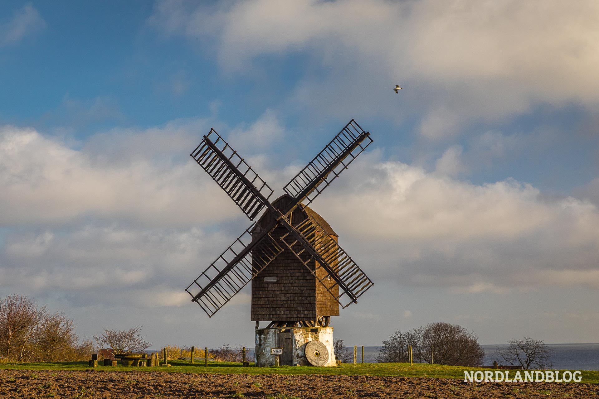 Die alte Windmühle Tejn Mølle auf Bornholm