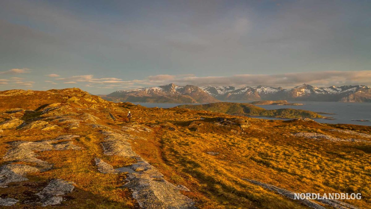 Goldenes-Licht-auf-unserer-Wanderung-in-der-Mitternachtssonne