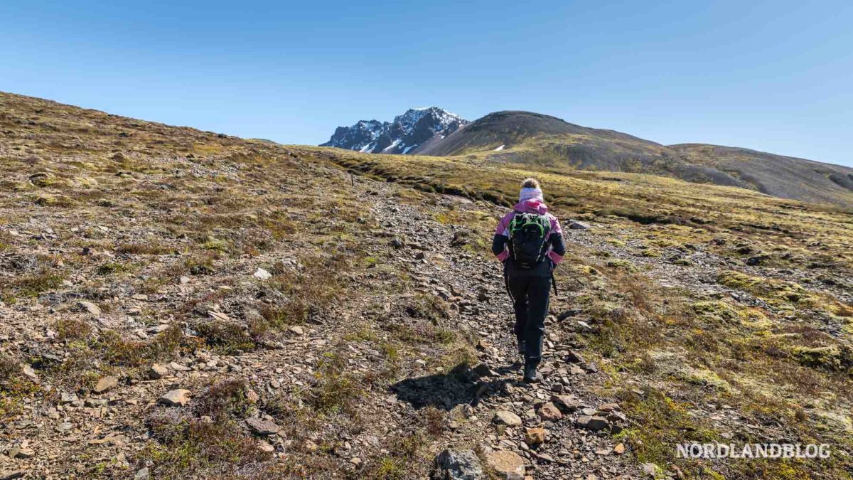 Conny beim Aufstieg Wanderung zur Bucht Brunavik in Borgarfjordur (Ostisland)