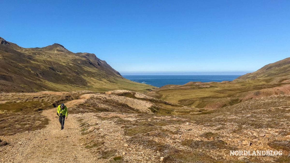 Weg-zurück-von-der-Bucht-Brunavik-in-Borgarfjordur-Ostisland