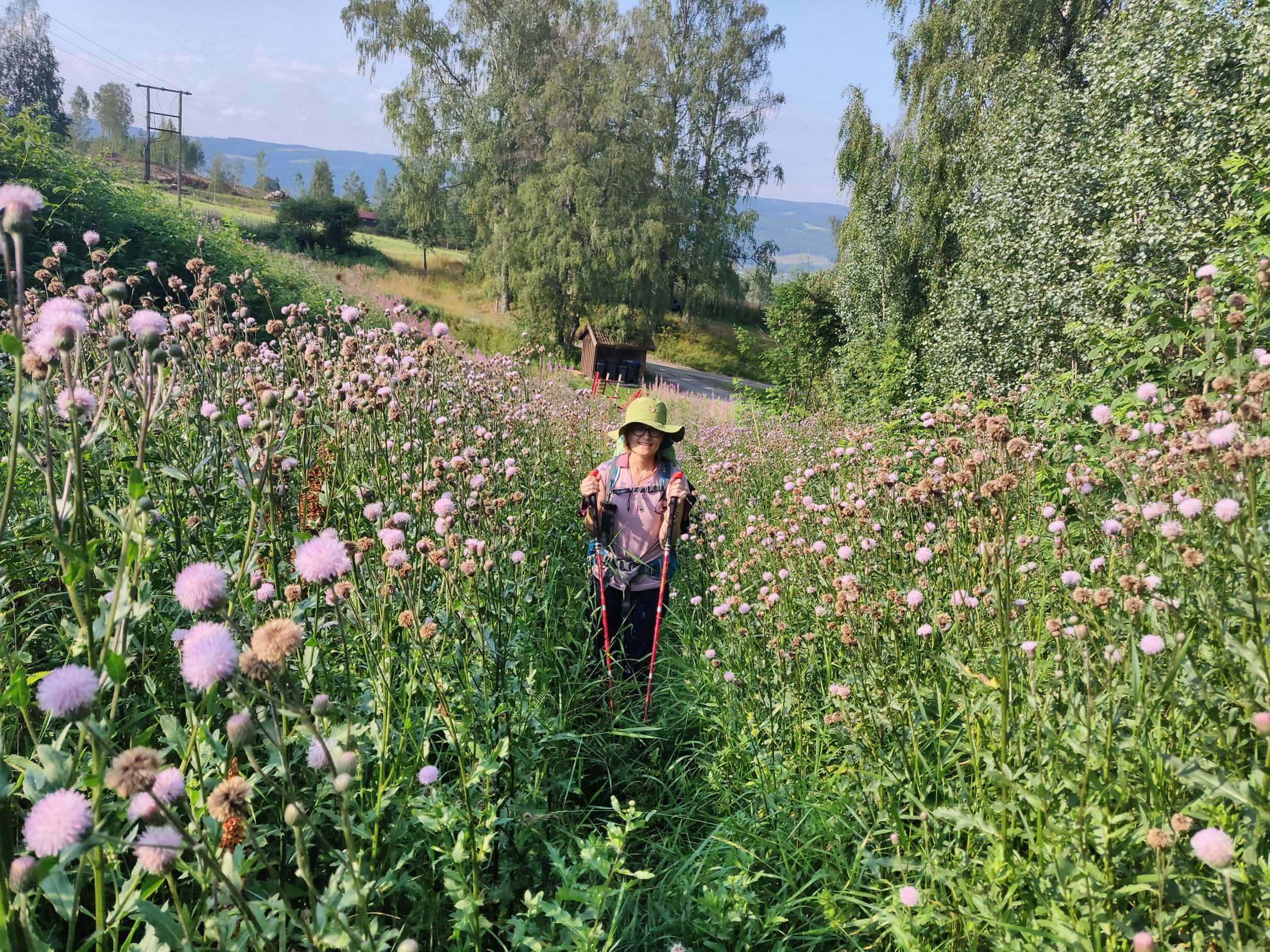 Stefanie-Jarantowski unterwegs auf dem Pilgerweg in Norwegen.