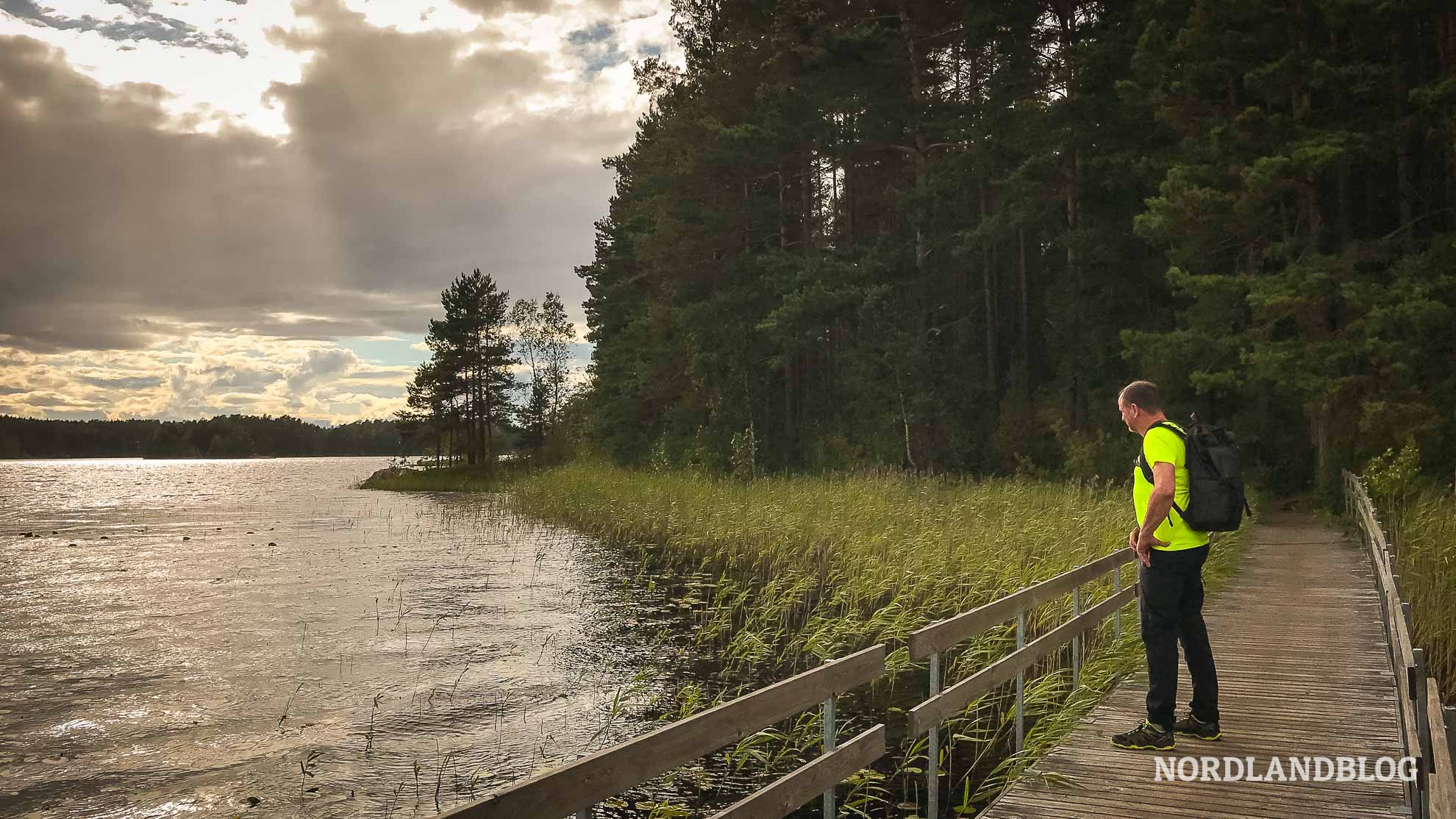 Wanderung im Teijo Nationalpark im Südwesten von Finnland