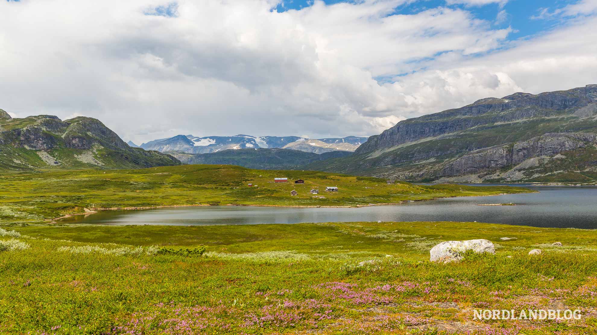 Almen und Bergseen am Rand von der Panoramastrasse Slettefjellvegen in Norwegen