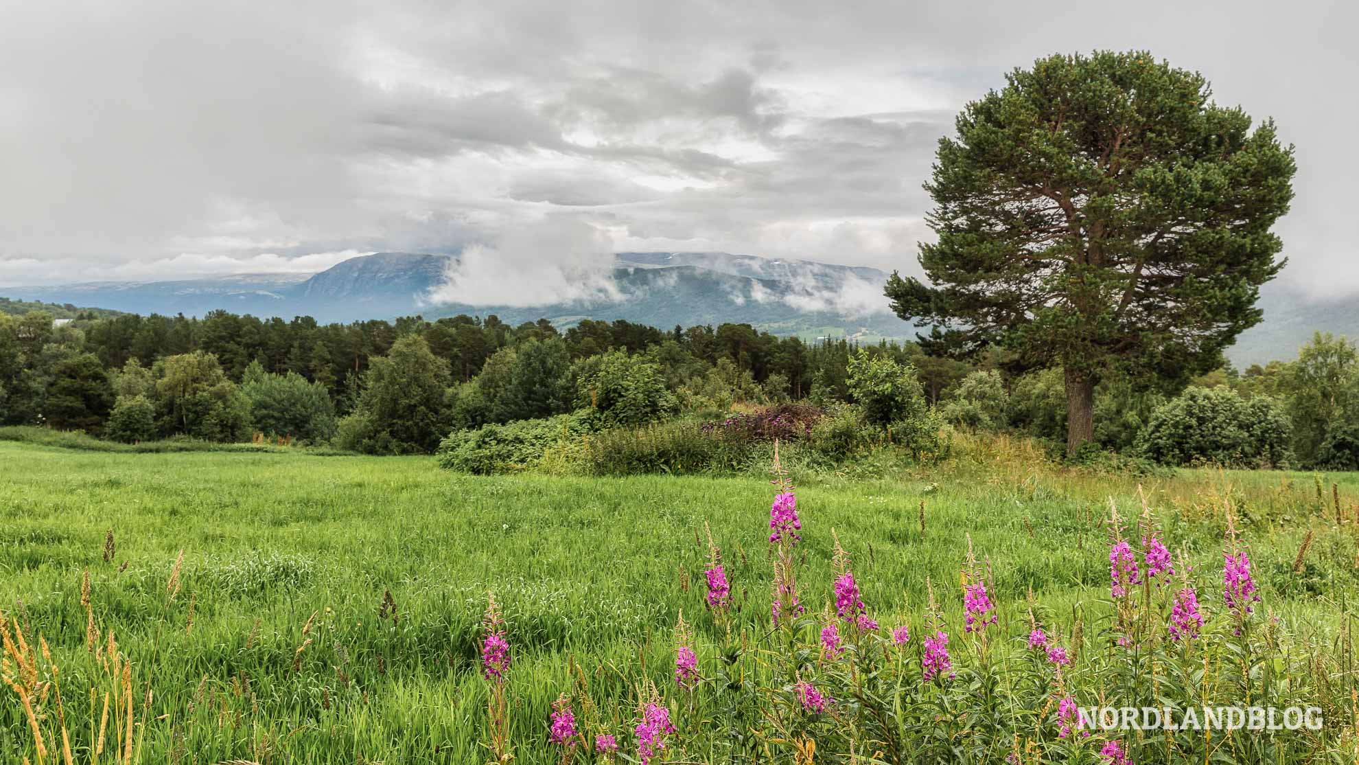 Schöne Natur in Norwegen Pilgerweg Olavsweg