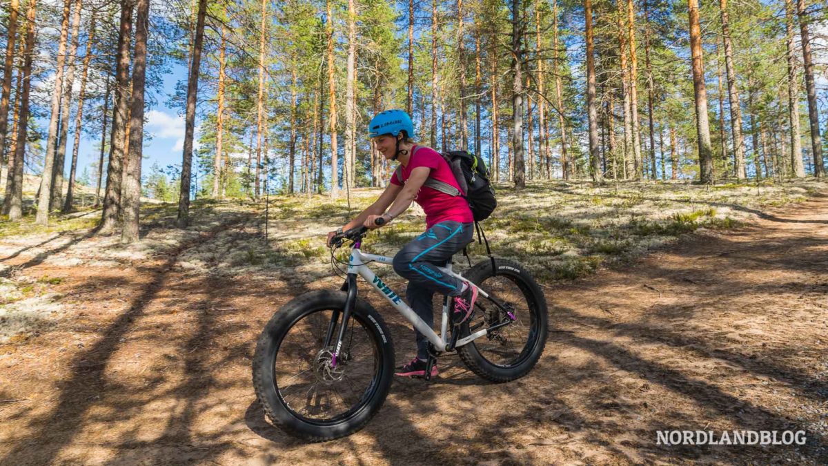 Fatbike fahren im Rokua Nationalpark Finnland