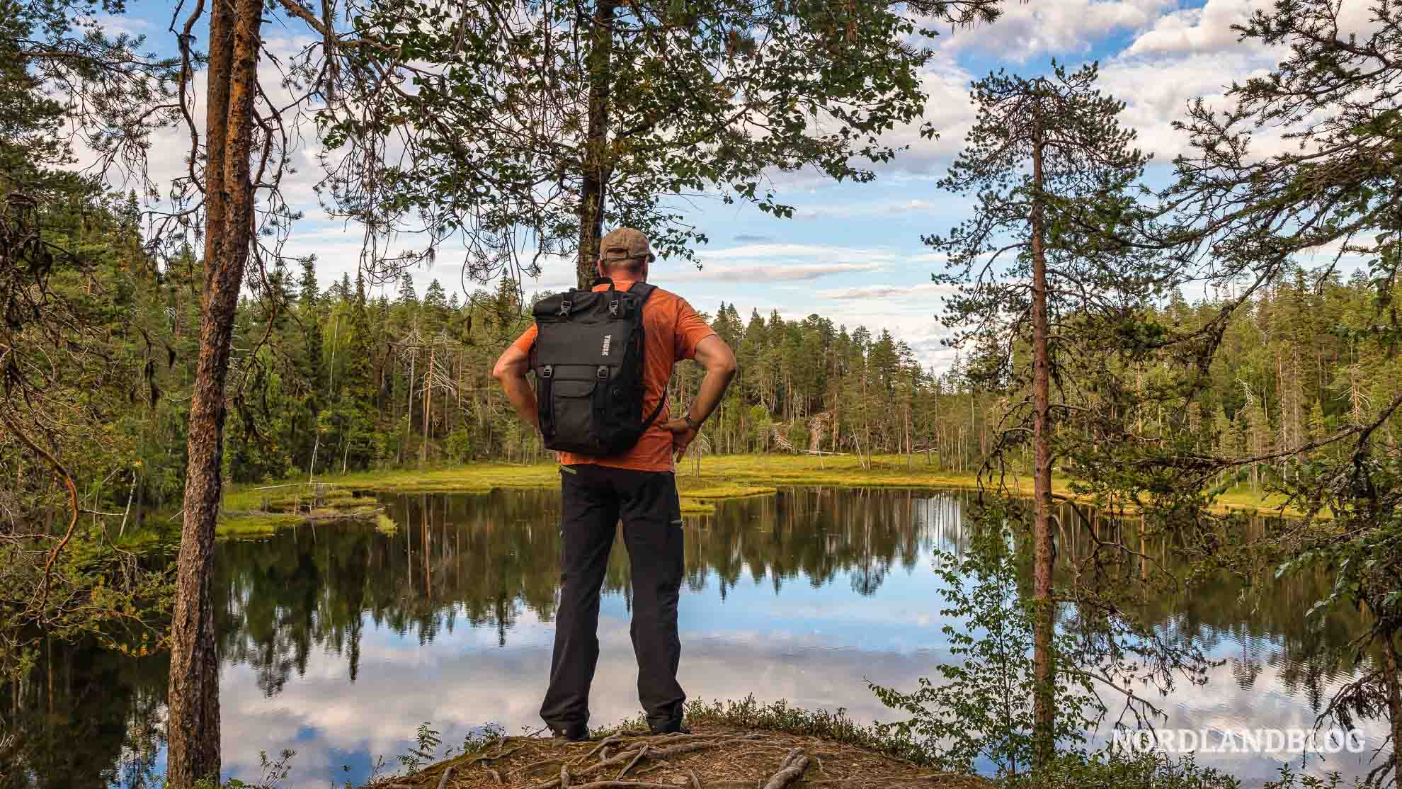 Sirko genießt die Aussicht auf Wanderung Kleine Bärenrunde Oulanka-Nationalpark