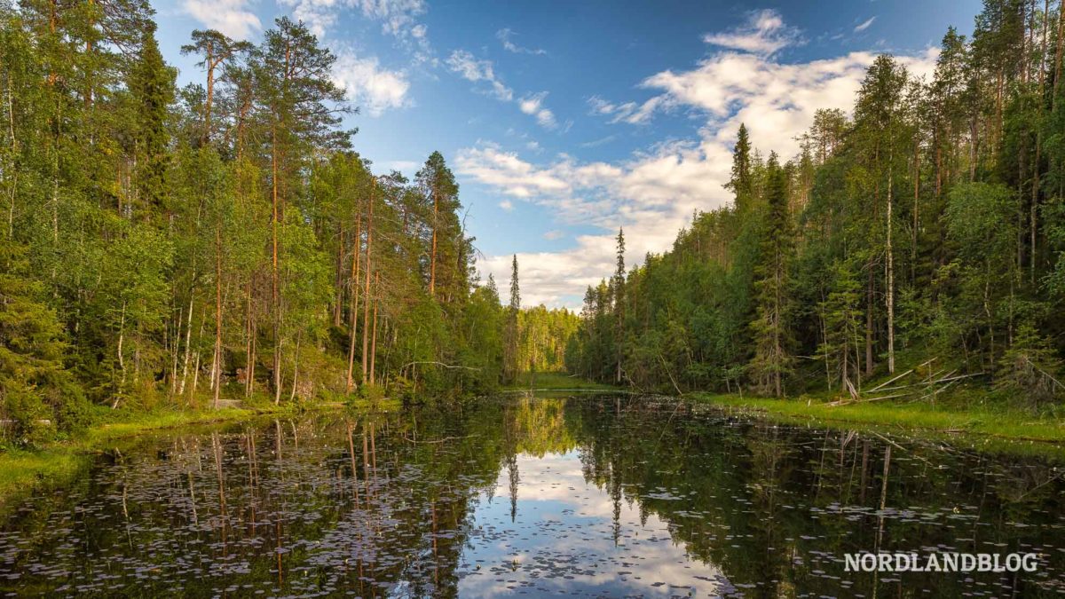 Unberührte Natur gibt es auf der Wanderung Kleine Bärenrunde Oulanka-Nationalpark