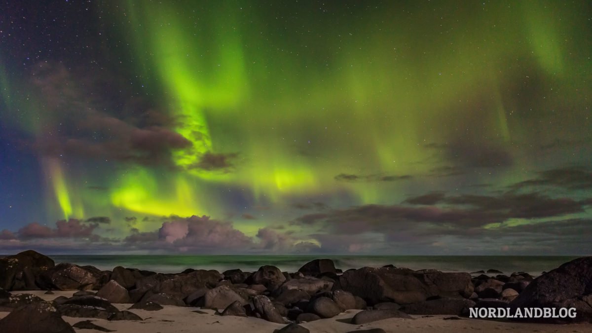 Nordlichter Eggum Strand Traumstrände auf den Lofoten (Norwegen)