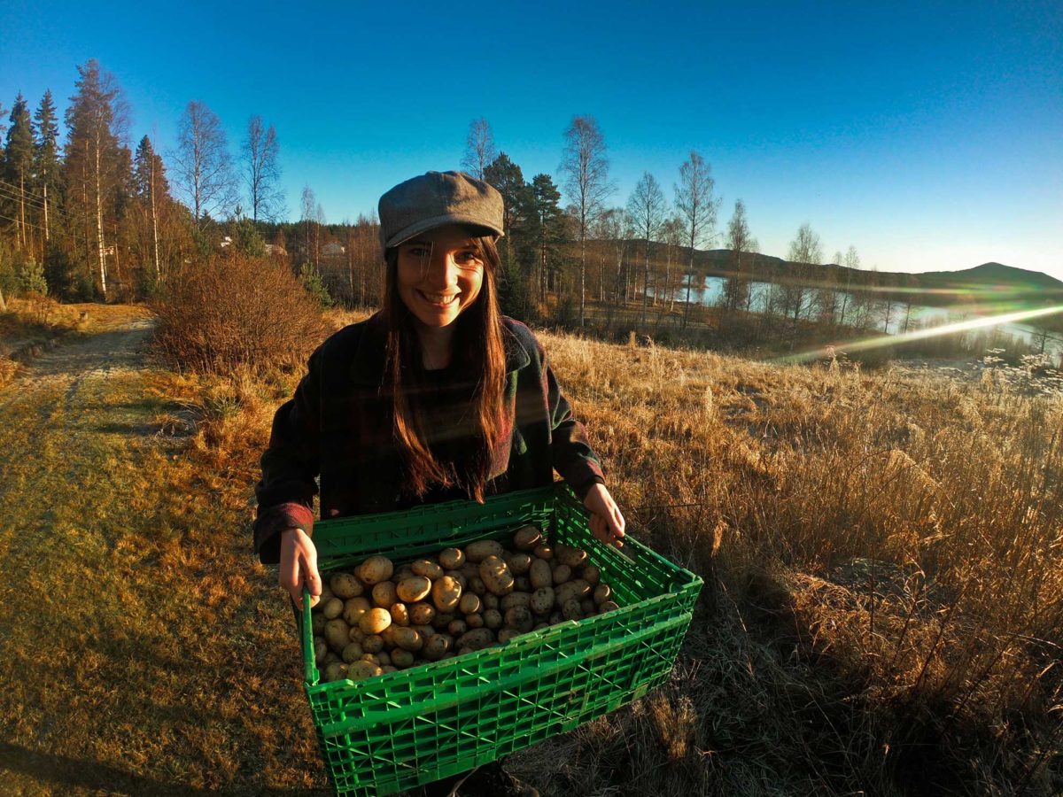 Farmarbeit in Âsnes Finnskog in Norwegen.