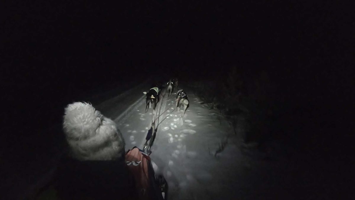 Husky - Schlittentour in Norwegen.