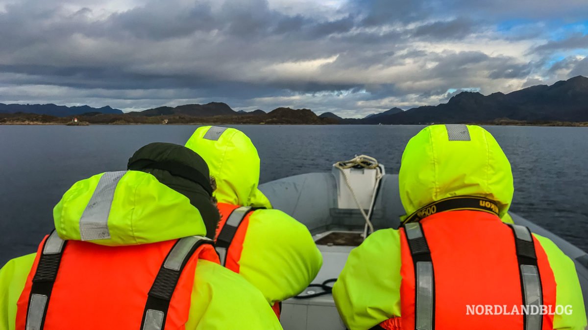 Adler Safari RIB Boot Aktivitäten auf den Lofoten