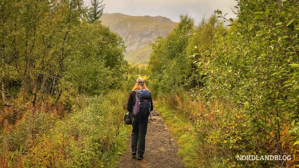 Conny-auf-dem-Wanderweg-Herbstlandschaft-Wanderung-zur-Nokksaetra-bei-Svolvaer-Lofoten-in-Norwegen
