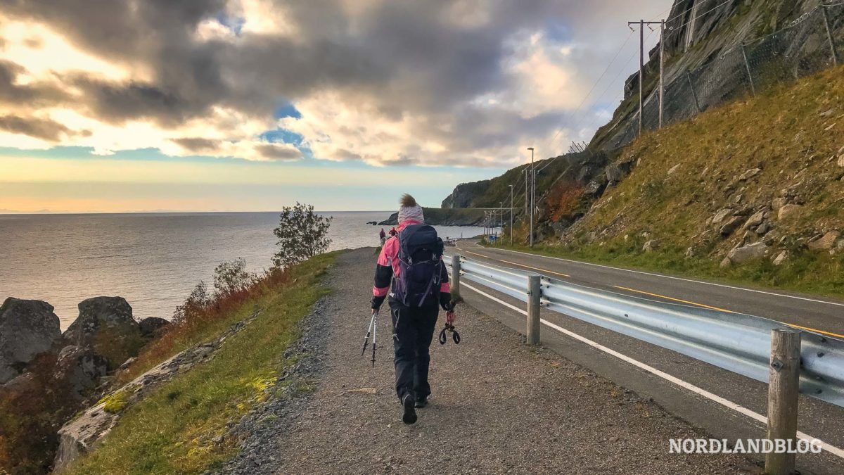 Conny neben der Straße Wanderung auf den Reinebringen (Lofoten - Norwegen)