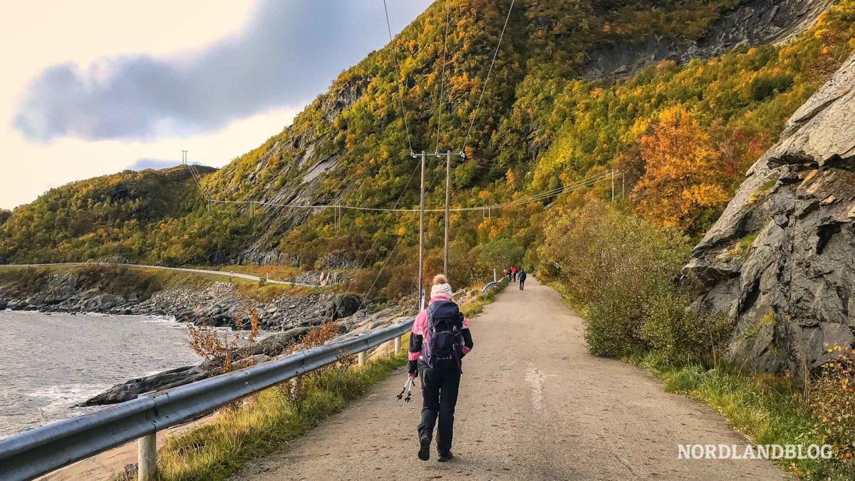 Conny zu Beginn der Wanderung auf den Reinebringen (Lofoten - Norwegen)