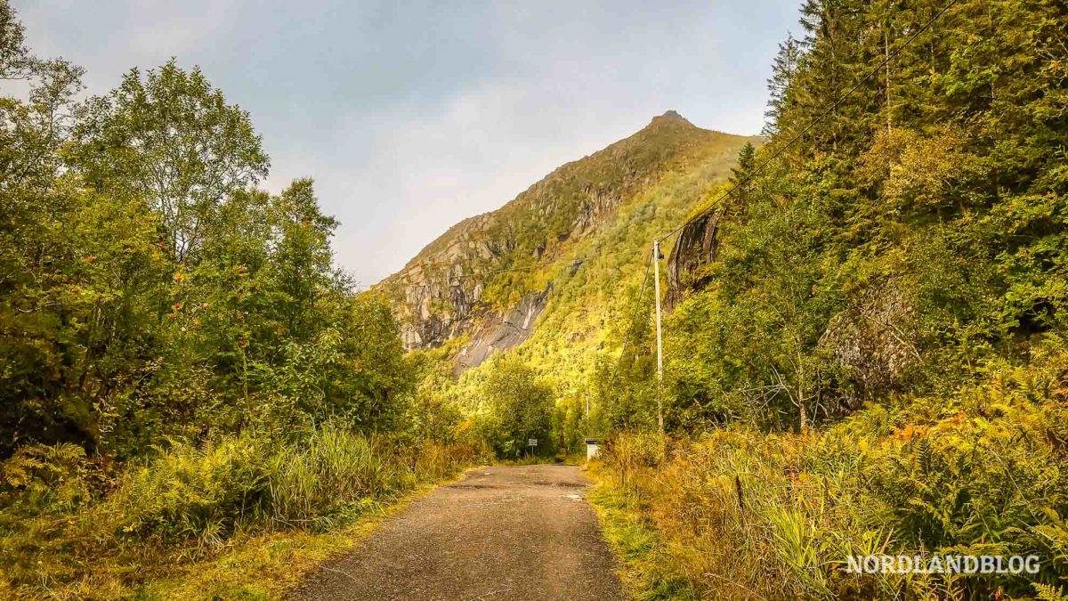 Erstes-Stueck-Wanderweg-am-Parkplatz-Wanderung-zur-Nokksaetra-bei-Svolvaer-Lofoten-in-Norwegen