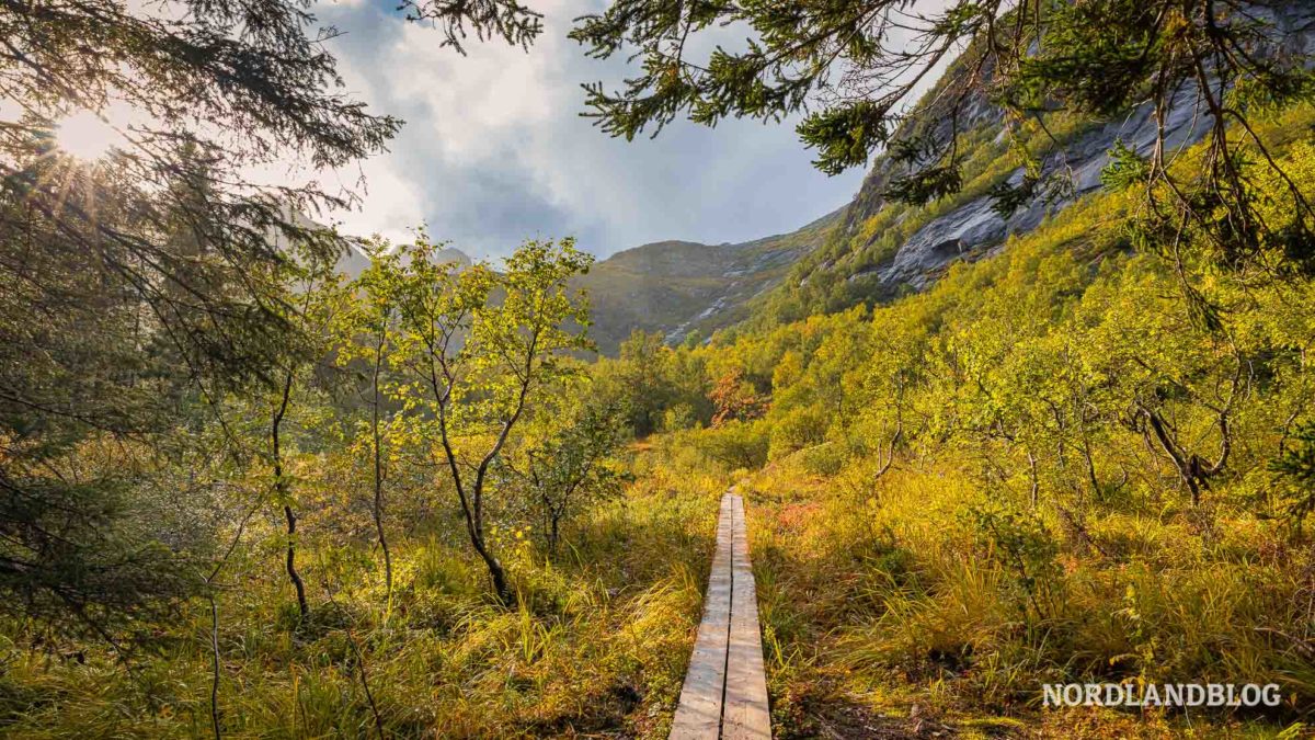 Wanderweg-Herbstlandschaft-Wanderung-zur-Nokksaetra-bei-Svolvaer-Lofoten-in-Norwegen