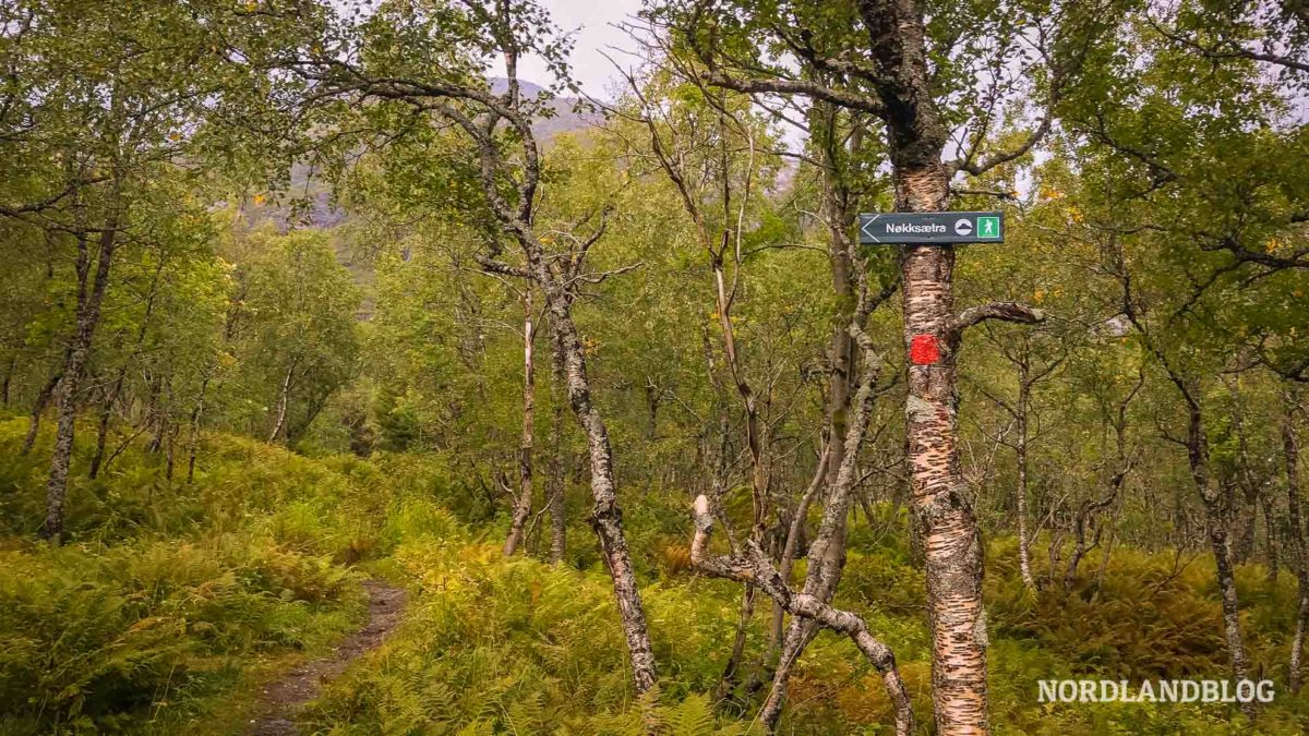 Wegweiser-am-Aufstieg-Wanderung-zur-Nokksaetra-bei-Svolvaer-Lofoten-in-Norwegen