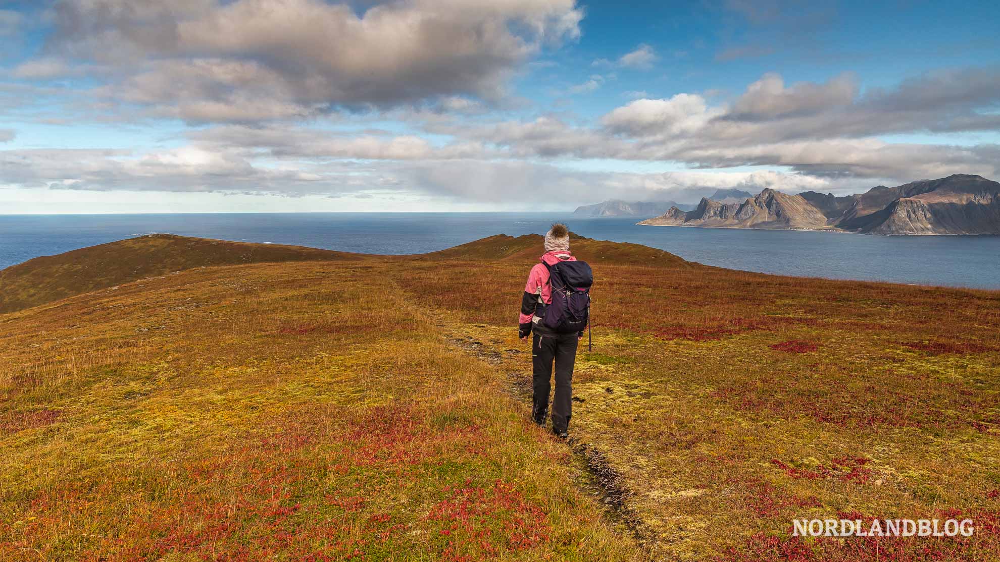 Conny auf der Hochebene Wanderung auf den Yttersandheia Lofoten Norwegen