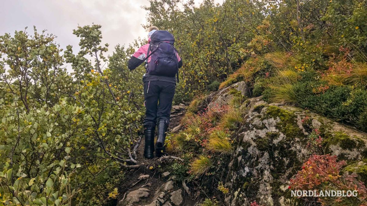 Conny beim Aufstieg der Wanderung auf den Hoven auf den Lofoten in Norwegen