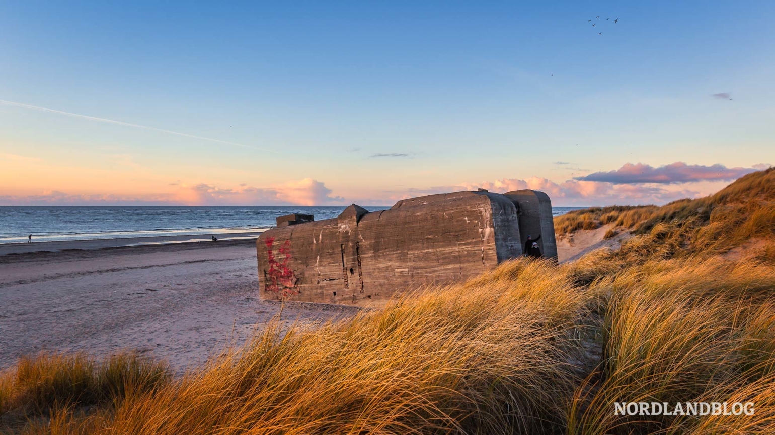 Ferienhaus-Urlaub in Blåvand - ganz im Westen von Dänemark