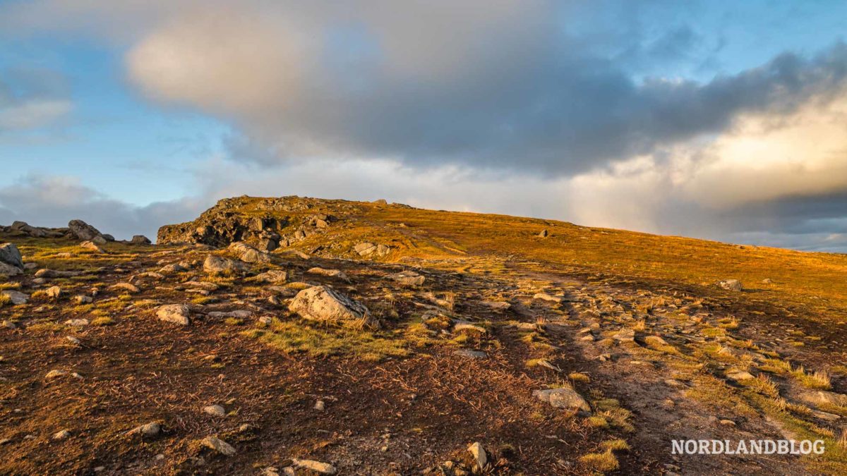 Kurz vor dem Ziel auf der Wanderung auf den Ryten auf den Lofoten in Norwegen