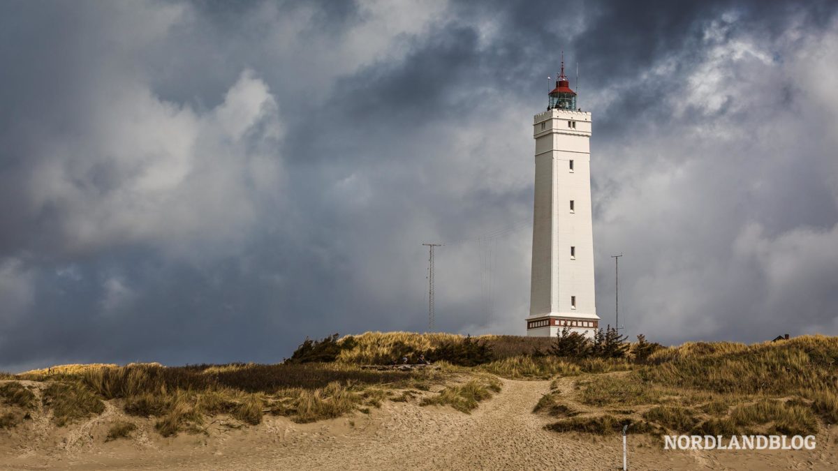 Leuchtturm Blavandhuk an der Nordseeküste von Dänemark - Ferienhaus-Urlaub Esmark