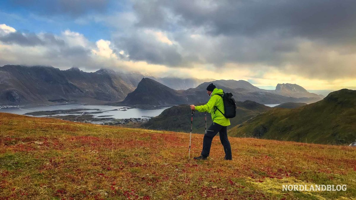 Sirko auf der Hochebene Wanderung Yttersandheia Lofoten Norwegen