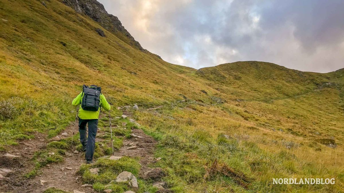 Sirko beim Aufstieg Wanderung auf den Ryten auf den Lofoten in Norwegen