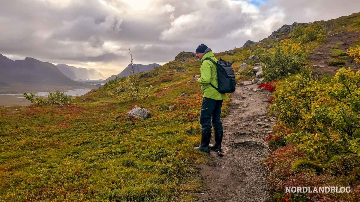 Sirko kurz vor dem Ziel der Wanderung auf den Hoven auf den Lofoten in Norwegen