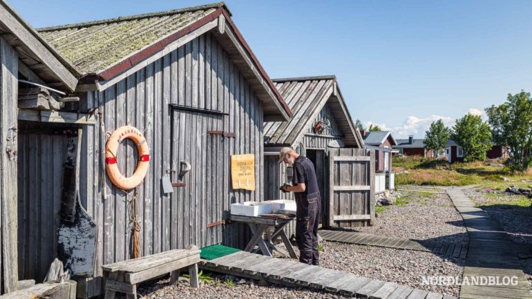 Fischräucherei auf der Insel Maakalla Ostseeküste Finnland