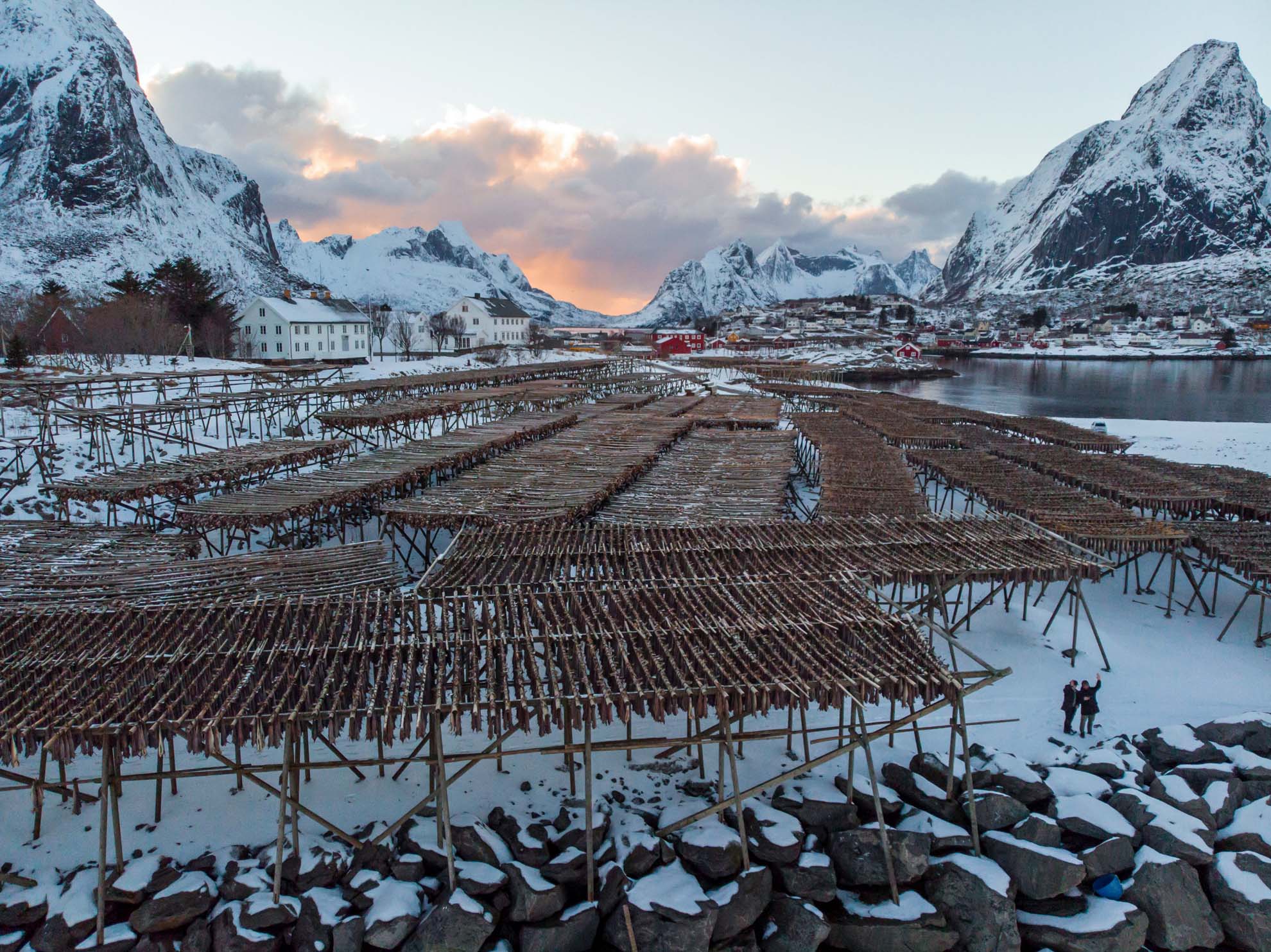 Kabeljau Saison auf den Lofoten