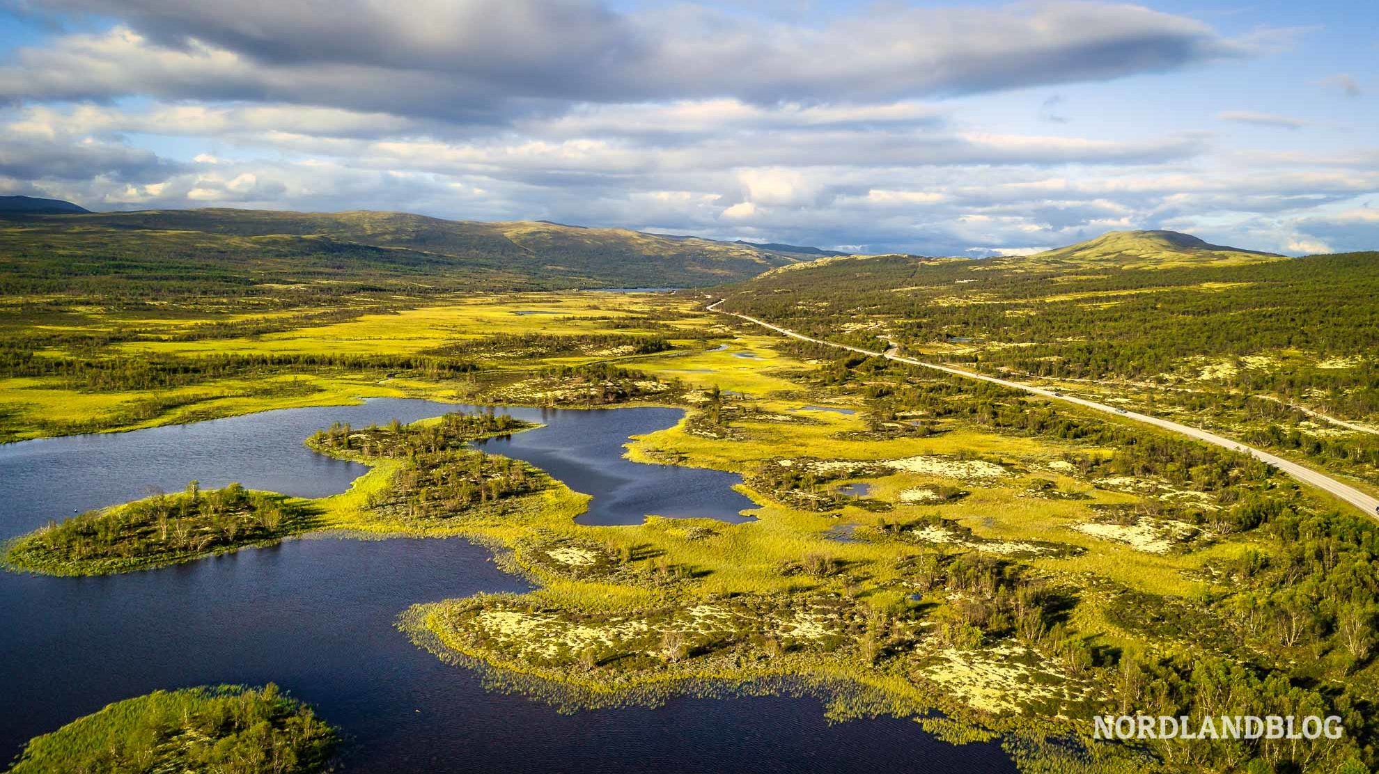 Elche in Norwegen beobachten und fotografieren
