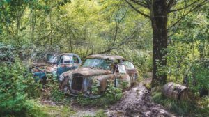 Autofriedhof_Båstnäs_Schweden_Titelbild