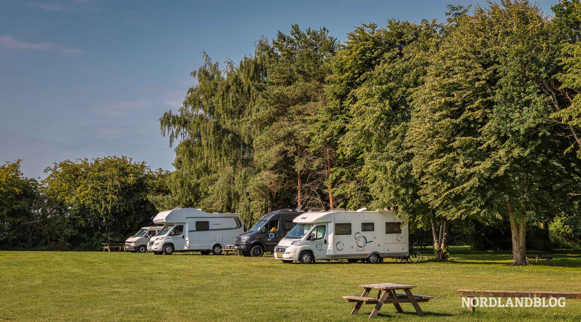 Camping Dänemark Stellplatz Stevns Klint Parkplatz Wohnmobile