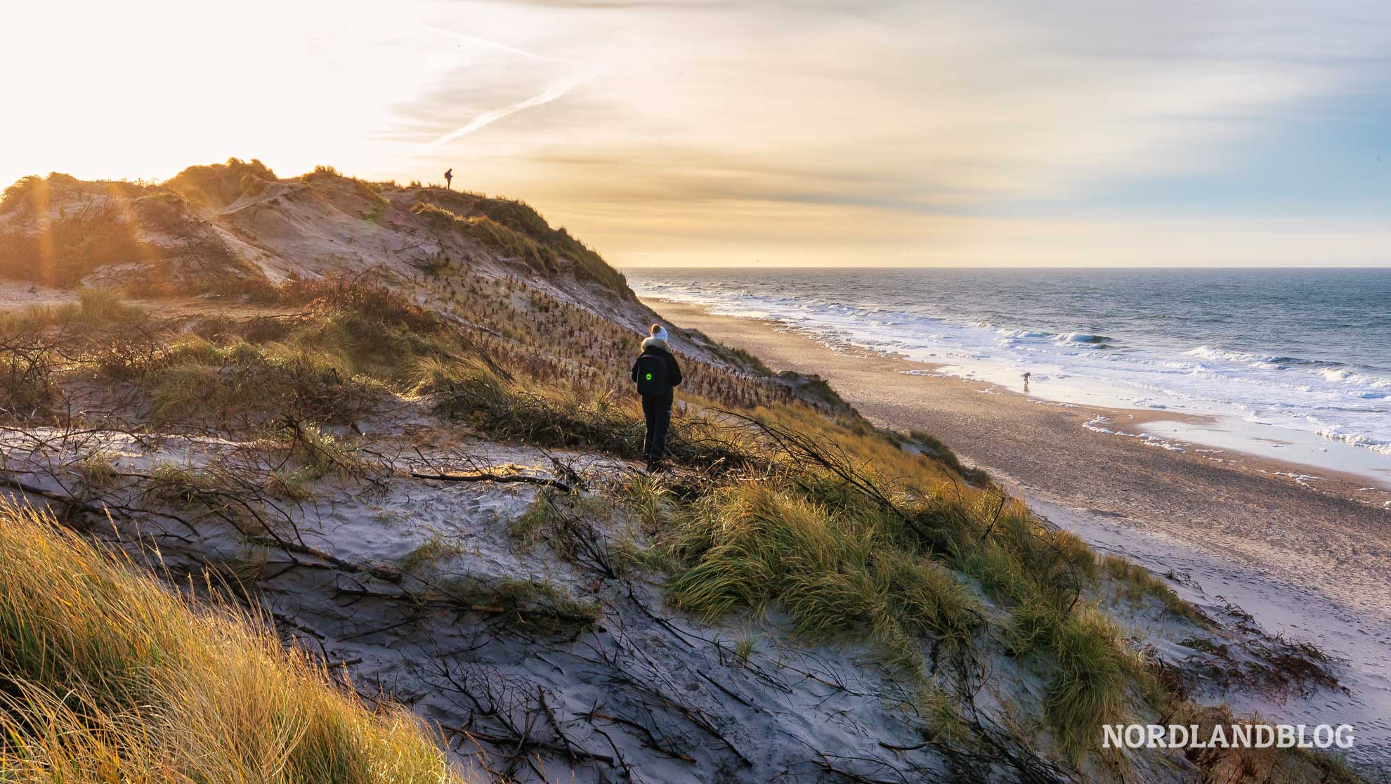 Endlose Strände und Dünen in Hvide Sande (Daenemark)