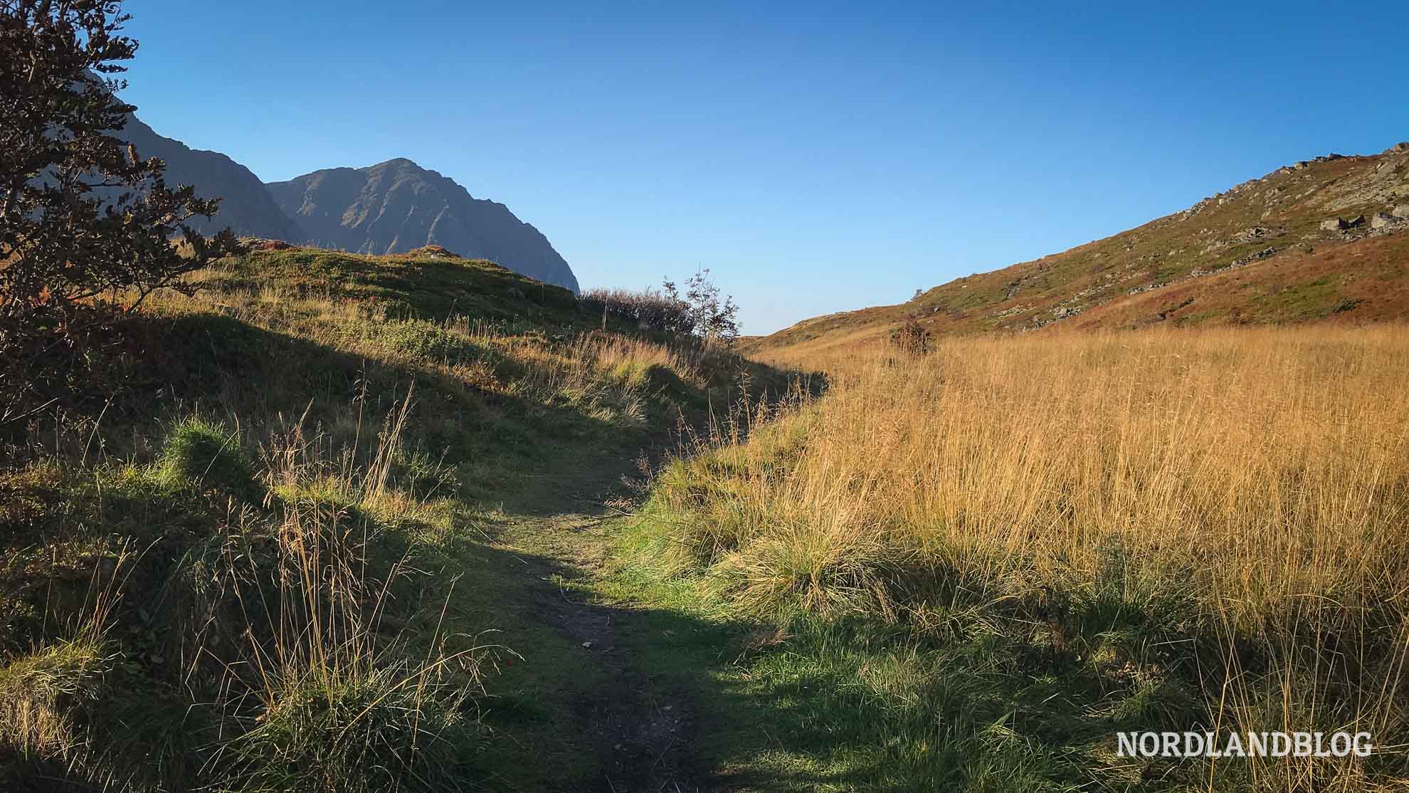 Weganfang Wanderung Offersoykammen Lofoten Norwegen
