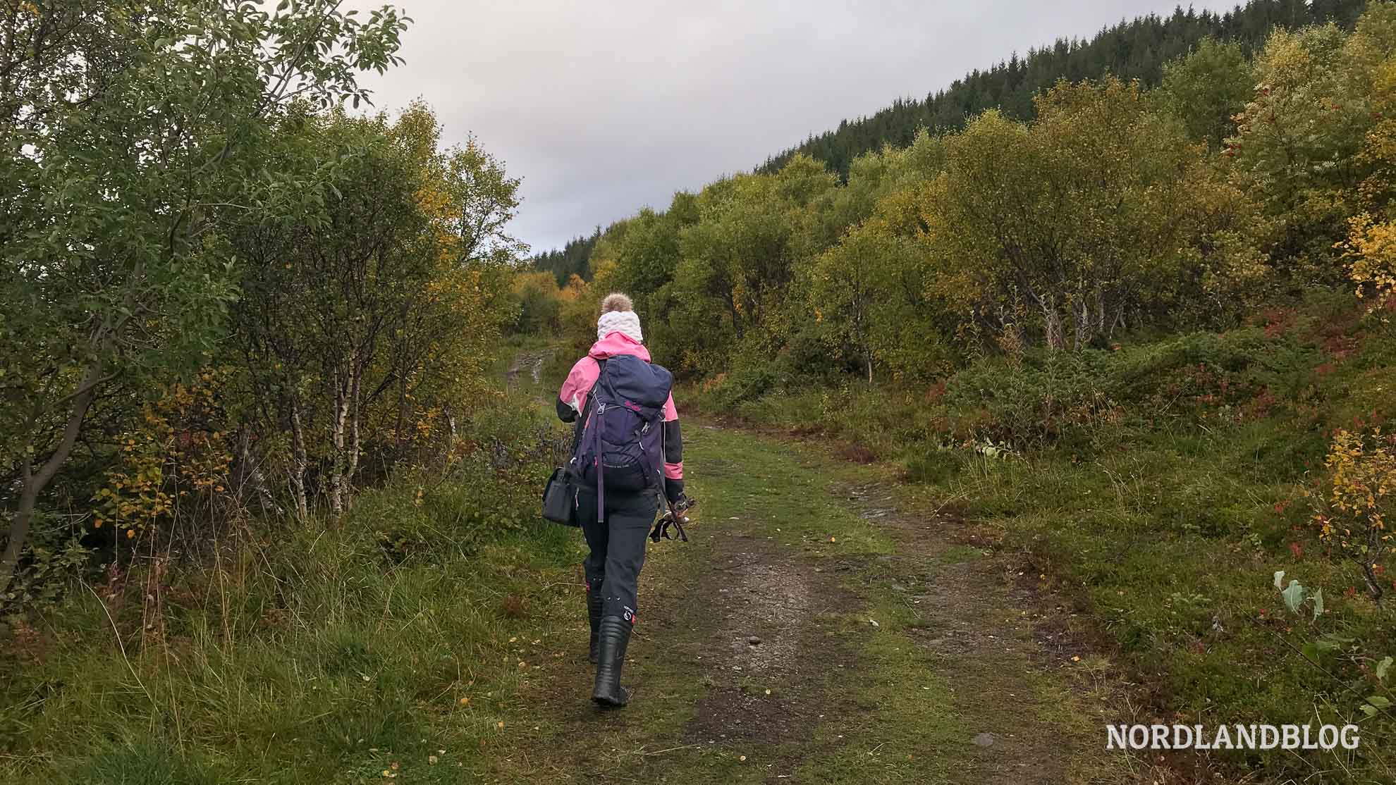 Aufstieg - Wanderung Holandsmelen, Lofoten, Nordnorwegen