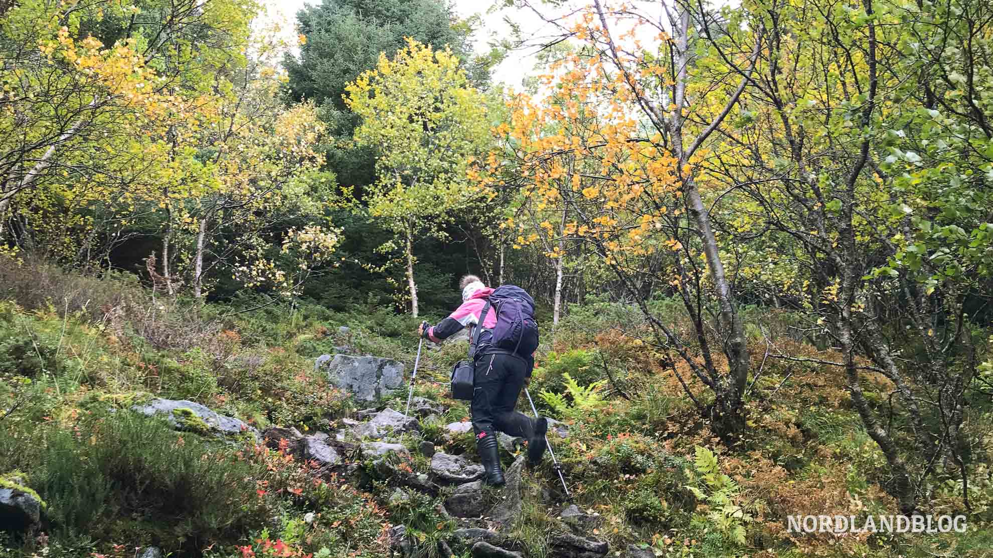 Steiler Abschnitt - Wanderung Holandsmelen, Lofoten, Nordnorwegen