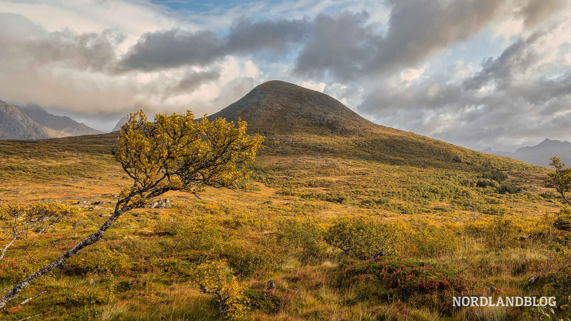 Tolle Herbstfärbung - Wanderung Holandsmelen, Lofoten, Nordnorwegen